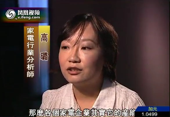 鳳凰衛(wèi)視采訪中商網(wǎng)研究員高璐