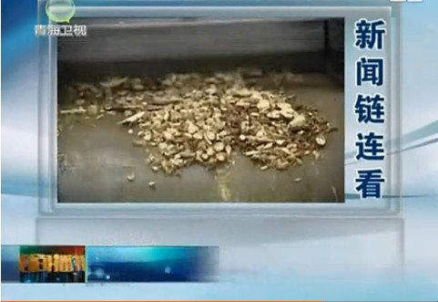 青海衛(wèi)視晚間播報 引用中商情報網(wǎng)觀點
